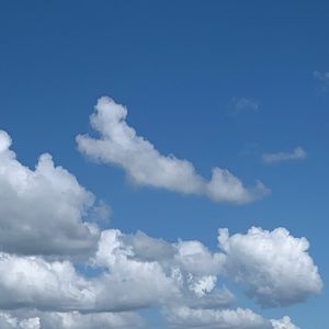 Meet your Posher, Deandra